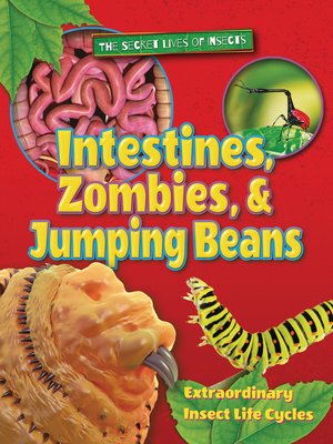cover image of Intestines, Zombies, and Jumping Beans: Extraordinary Insect Life Cycles